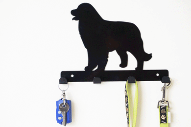 Bernese Mountain Dog - Dog Lead / Key Holder, Hanger, Hook - Unique Metalcraft
