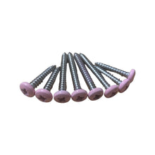 Load image into Gallery viewer, Colour Matched Screws - Unique Metalcraft