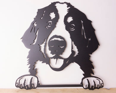 Bernese Mountain Dog Peeping Dog Wall Art / Garden Art - Unique Metalcraft