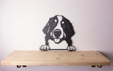 Load image into Gallery viewer, Bernese Mountain Dog Peeping Dog Wall Art / Garden Art - Unique Metalcraft
