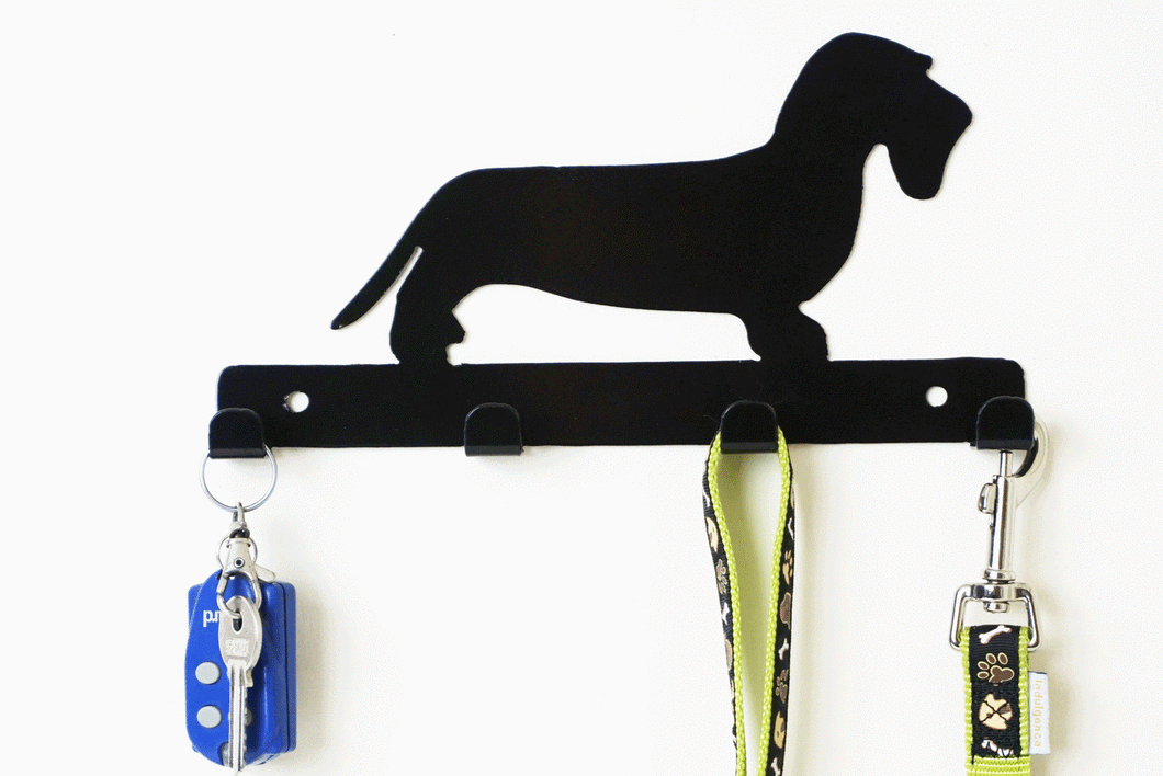 Dachshund Wire Hair - Dog Lead / Key Holder, Hanger, Hook - Unique Metalcraft